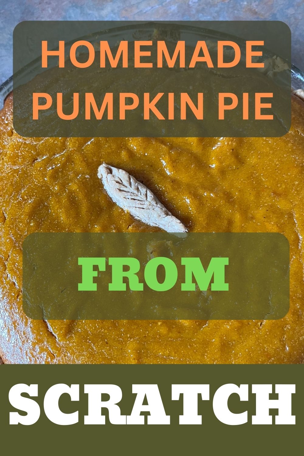 FROM SCRATCH PUMPKIN PIE visual data 6